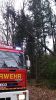 Th Unwetter